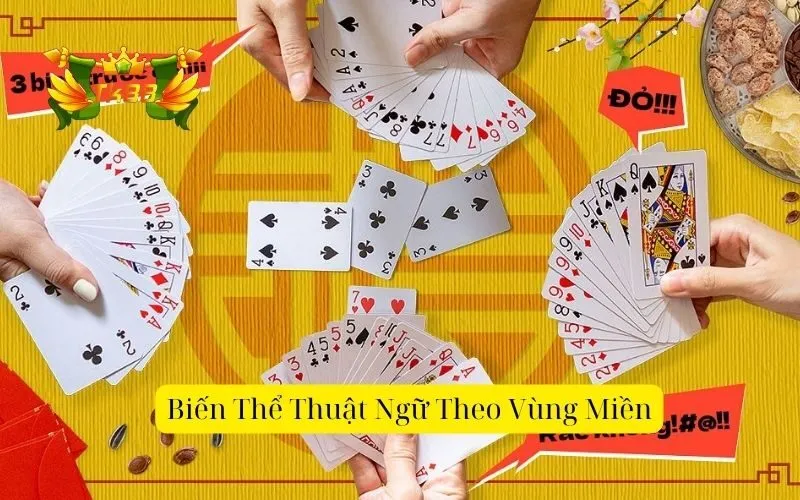 Biến Thể Thuật Ngữ Theo Vùng Miền