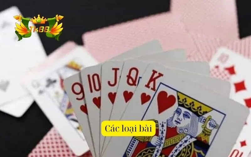 Các loại bài