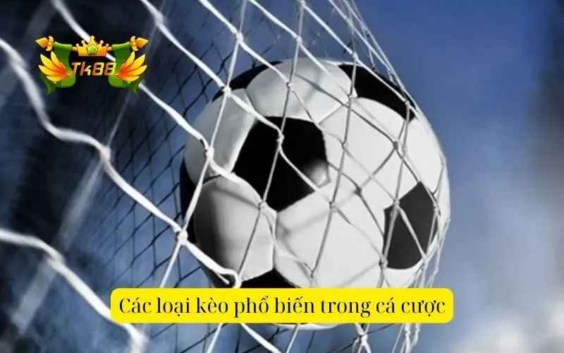 Các loại kèo phổ biến trong cá cược