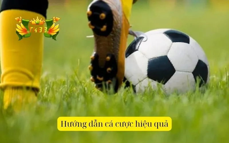 Hướng dẫn cá cược hiệu quả