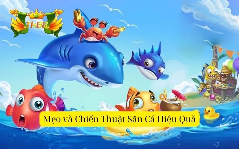 Mẹo và Chiến Thuật Săn Cá Hiệu Quả