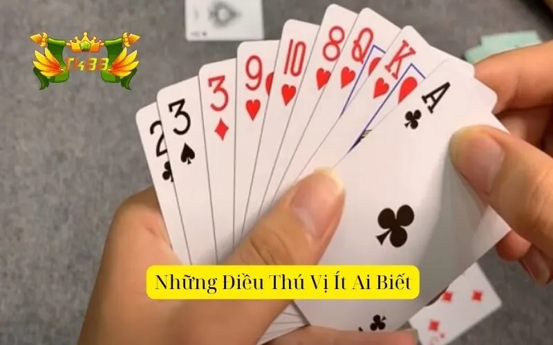 Những Điều Thú Vị Ít Ai Biết