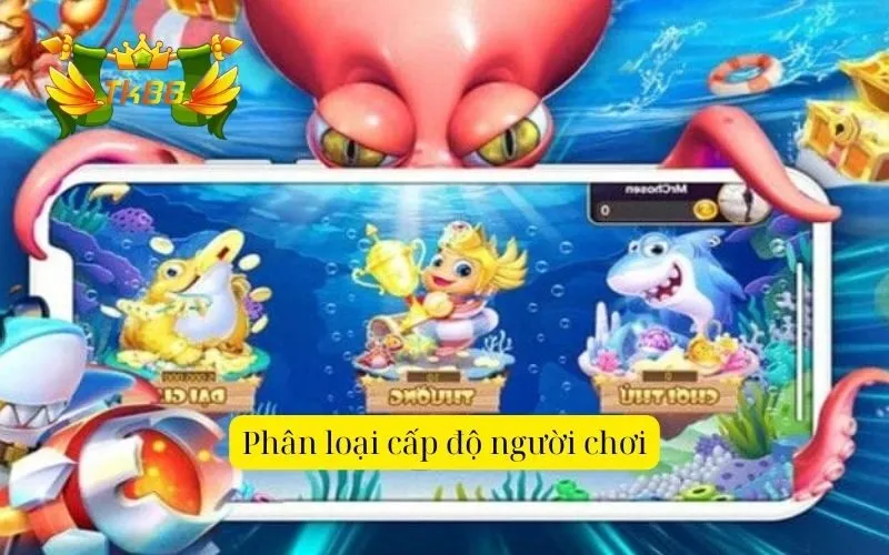 Phân loại cấp độ người chơi