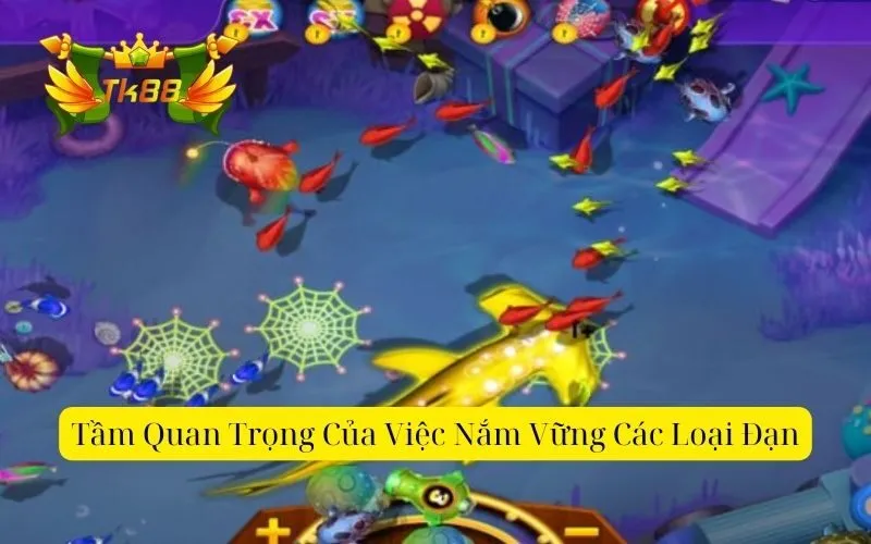 Tầm quan trọng của việc nắm vững các loại đạn