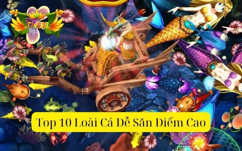 Top 10 loài cá dễ săn điểm cao