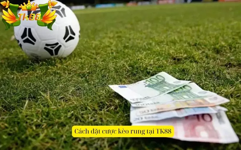 Cách đặt cược kèo rung tại TK88