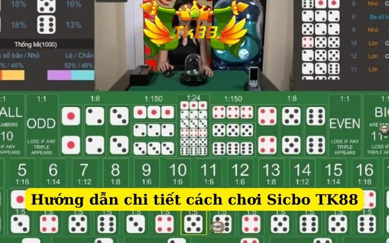 Hướng dẫn chi tiết cách chơi Sicbo TK88